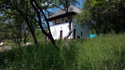 Deluxe Queen Room with Two Queen Beds