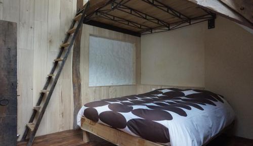 Apartment - Split Level