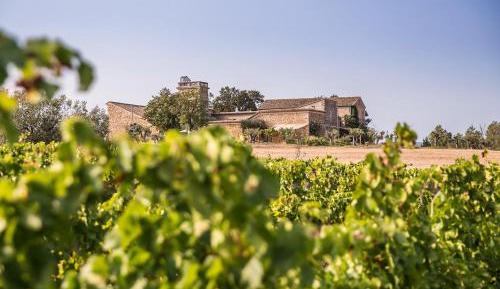 Family Room with Garden View