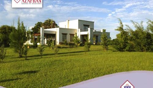 Studio with Garden View