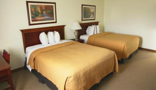 Queen Room with Two Queen Beds