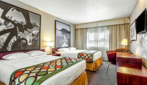 Double Room with Two Double Beds - Non-Smoking