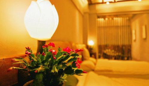 Double or Twin Room with Garden View