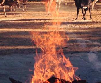 Double or Twin Room with Private External Bathroom