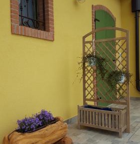 Double Room with Terrace