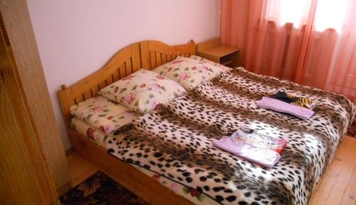 Double or Twin Room with Mountain View