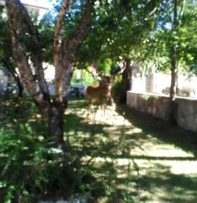 Apartment (2 Adults)