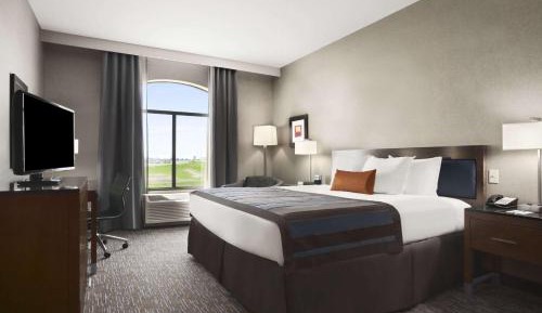 One-Bedroom Queen Suite - Non-Smoking