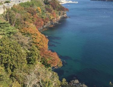 Superior Japanese-Style Room - Non-Smoking