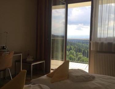 Superior Double Room with Mountain View