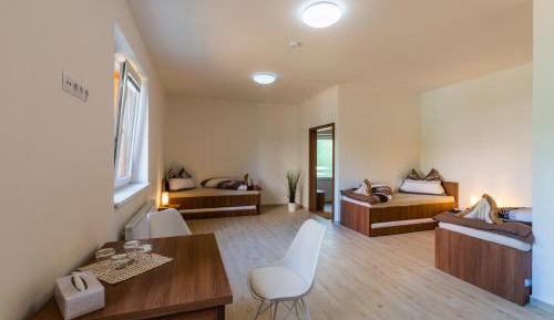 Family Room - Disability Access