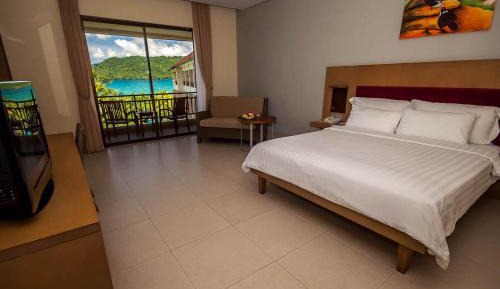 Deluxe Double or Twin Room