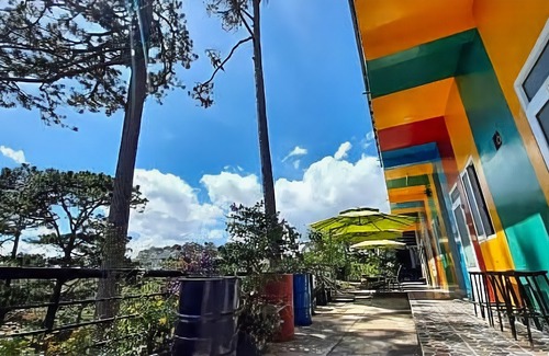 Da Lat Hotel | IColor Dalat Hostel