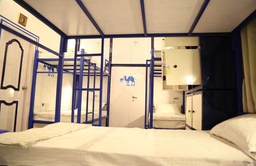 C-Scheme Hotel | Free Birds
