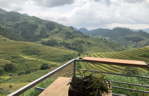 Mu Cang Chai Hotel | Do Gu Homestay