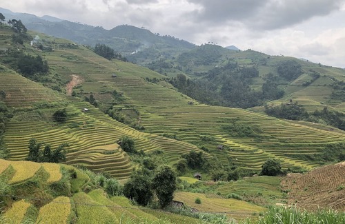 Mu Cang Chai Hotel | Do Gu Homestay