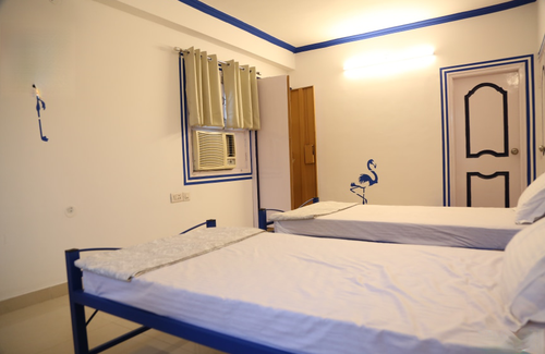 C-Scheme Hotel | Free Birds