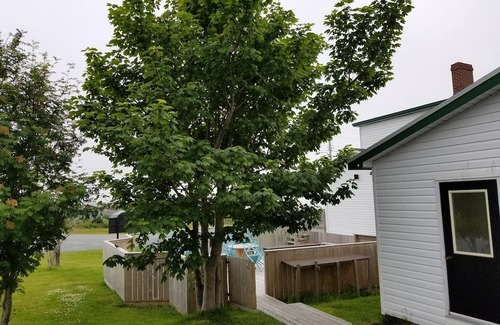 Trepassey Hotel | Edge of The Avalon Inn