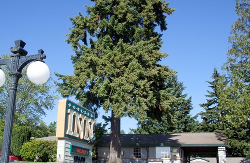 Poulsbo Hotel | Poulsbo Inn & Suites