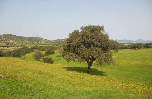 Loiri Porto San Paolo Hotel | Borgo di Campagna