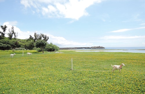 Namihira Hotel | Beach Resort Morimar