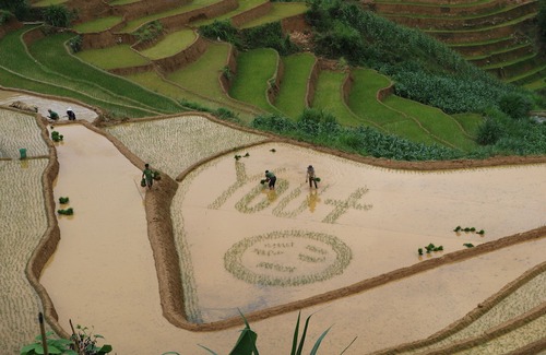 Mu Cang Chai Hotel | Do Gu Homestay