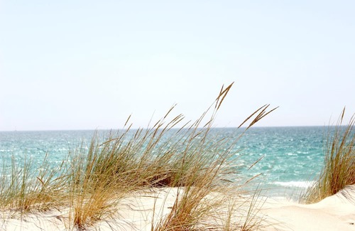 Alghero Villa | Alghero, a prestigious independent ancient home with pool
