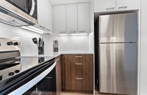 Allston Apartment | Luxury 2bd/2ba near Harvard 0396