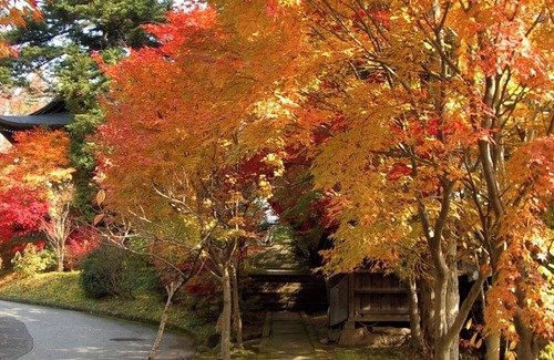 Hida Takayama Onsen House | Nonsmoking standard twin VS | Simple accommodat /Takayama Gifu