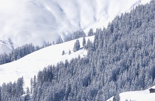 Lanersbach Apartment | Apartment 'Appartement Edelweiss' with Balcony and Wi-Fi