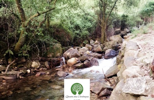 Medelo Apartment | Quinta das CarbonçasnnO lugar ideal para descansar a 2 minutos a pé da cidade