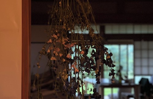 Shirako House | Vrbo Property