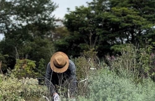 Shirako House | Vrbo Property