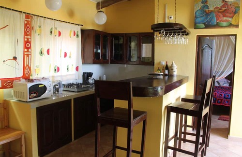 Bujumbura Apartment | Cozy serviced one bedroom apartment in a tropical garden, free laundry