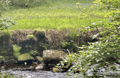 Wadsworth Cottage | Cosy Hebden Bridge cottage with amazing views