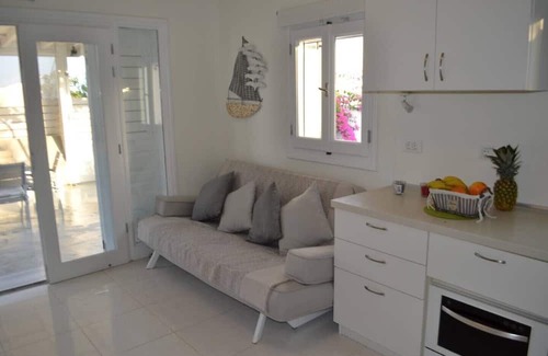 Messaria Villa | JB Villa w/plunge pool, very private, w/colorful garden, conveniently located