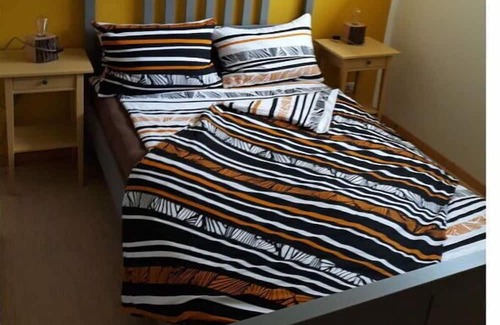 Auerbach-Erzgebirge Apartment | Relaxing holiday home in the Ore Mountains