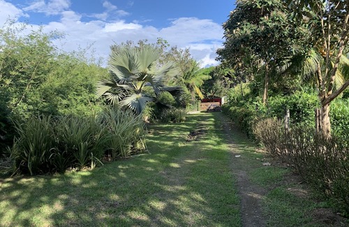 Palma Apartment | Studio cabin with AC & WiFi located in a Tropical Paradise