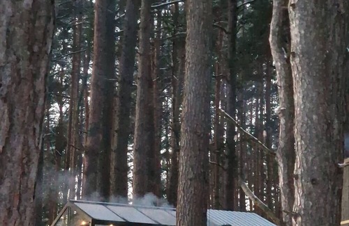 Carnikava Apartment | Delightful 2-bedroom apartment in Gauja