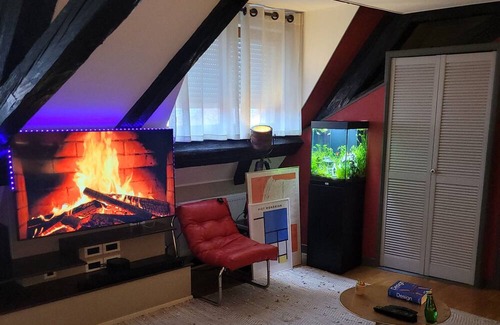 Soultz-Haut-Rhin Apartment | Appartement Atypique