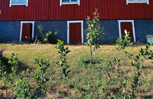 Sottunga Bed & Breakfast | Strandhuggetbnb