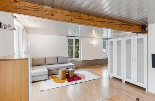 Dietikon District Apartment | Cozy Studio Charm Sum