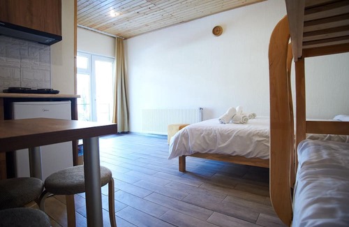 Kazbegi Apartment | Tornisa kazbegi