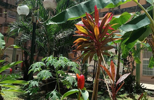 Pointe-a-Pitre Apartment | Chez Gilles Downtown just a few minutes from the Gare Maritime