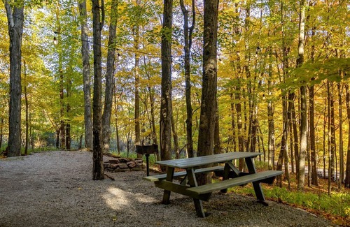 Riverton House | Treehouse Cabin in Riverton, WV