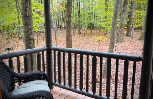 Birch Run Township House | Unit 3 Lodge Cabin (no pets allowed)