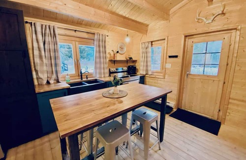 Fraser Valley Regional District Cabin | Peaceful cabin in the mountains with pond view. Pet friendly!