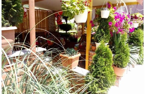 Pestani Apartment | Lile Pestani One-Bedroom Suite with Balcony