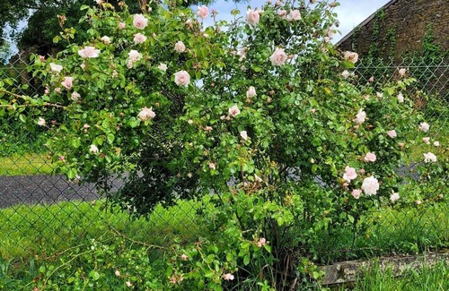 Darnac House | Country house