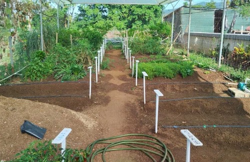 Guayabo House | Nestled at the base of Rincon de la Vieja Volcano and bordering the Rio Celeste.